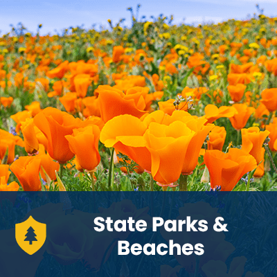 State Parks and Beaches